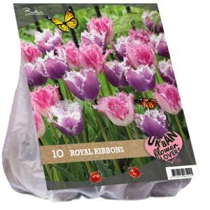 Baltus Urban Flowers Royal ribbons bloembollen per 10 stuks